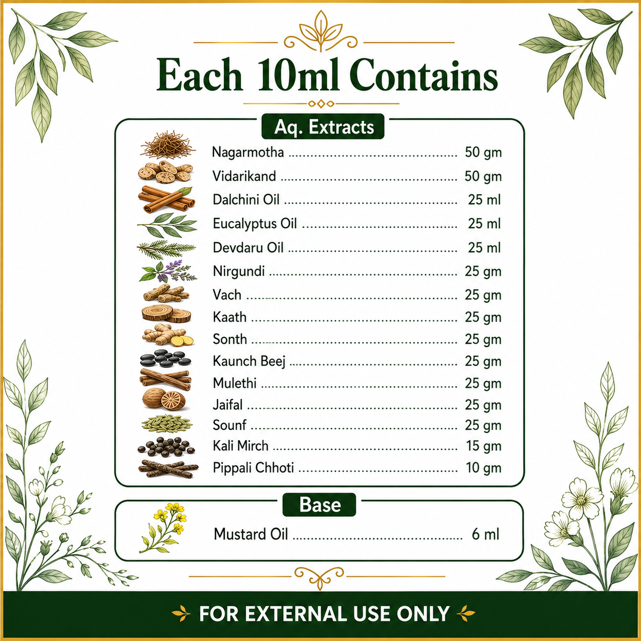 Karnveda Ear Care Essence Drops | Ayurvedic Ear Drops for Pain, Tinnitus & Infection Relief | 10ml
