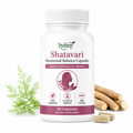 Shatavari Capsules – Ayurvedic Wellness Support for Women